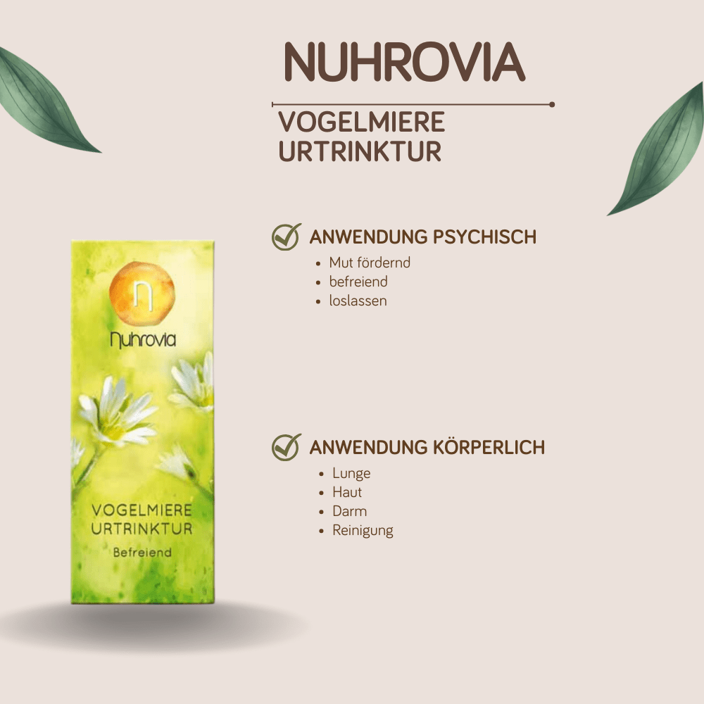 Bild von Vogelmiere Urtrinktur 20ml